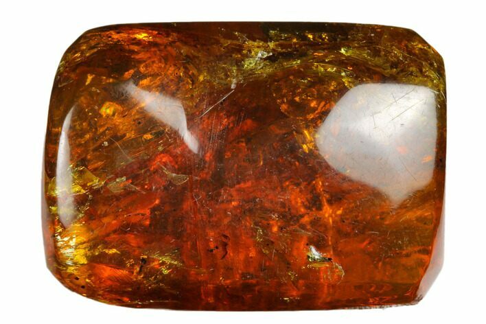 Polished Chiapas Amber ( g) - Mexico #180426